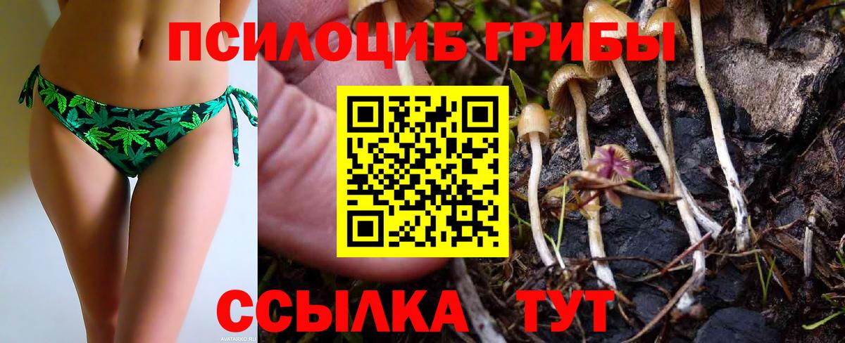 Галлюциногенные грибы Psilocybine cubensis  Псилоцибиновые грибы мухоморы  Благовещенск  Вход с VPN 